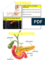 Anatomy: Pancreas Is An Elongated, Tapered Organ