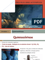 11 Quimiossíntese 18-19