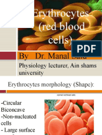 Erythrocytes (Red Blood Cells) : by Dr. Manal Said