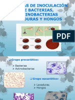 Técnicas de Inoculación de Bacterias, Actinobacterias