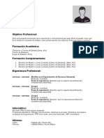 Curriculum Vitae Combinado