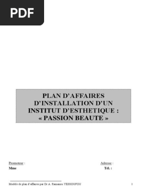 Plan D Affaire Institut De Beaute Pdf Commercialisation Economie