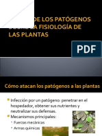 Efecto de Los Patógenos Sobre La Fisiología de Las Plantas