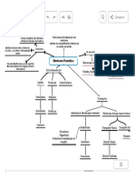 Membrana Plasmática Mapa Mental