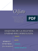 Olfato