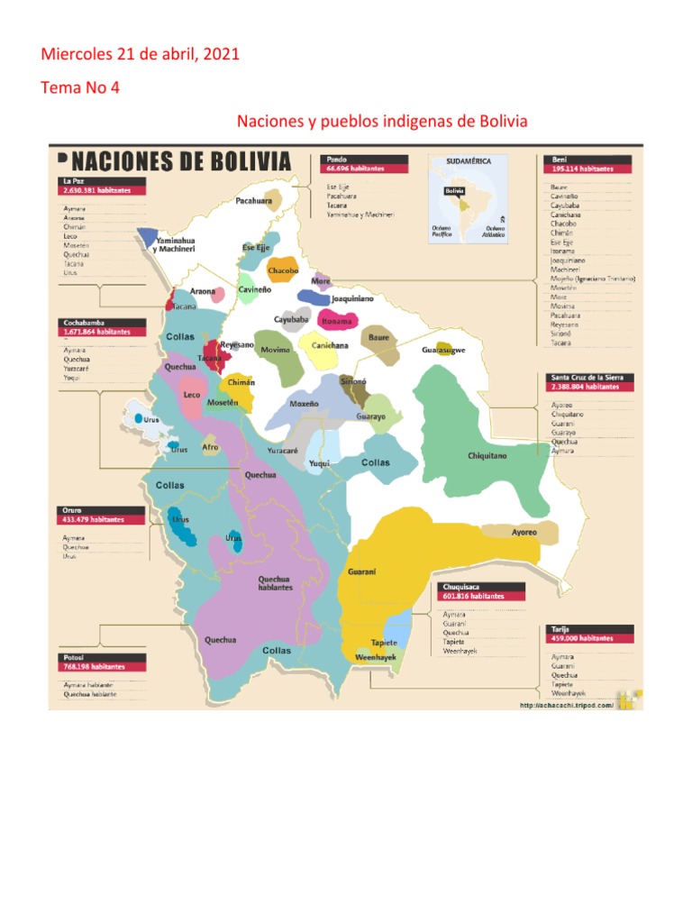 Naciones y Pueblos Indigenas de Bolivia | PDF