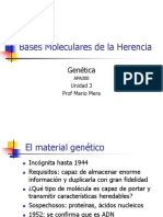 3 Bases Moleculares de La Herencia