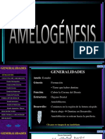 Amelogénesis