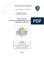 Práctica N°6 - Fármacos Depresores Del Sistema Nervioso Central