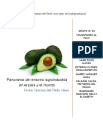 Presentacion de Producto Palta Hass