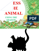 Animal Shadows