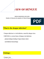 Dengue Lesson