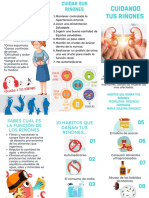 Folleto Habitos Que Dañan Los Riñones