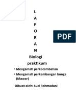 L A P O R A N Biologi Praktikum - Mengamati Perkecambahan - Mengamati Perkembangan Bunga (Mawar)