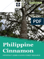 Philippine Cinnamon