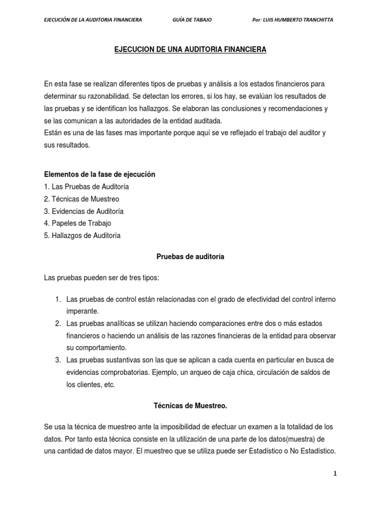 Guía de Ejecución de Auditoría Financiera | PDF | Auditoría | Contralor