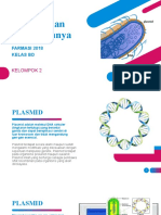 Plasmid Kel 2