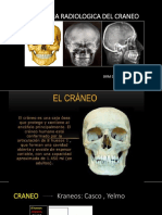 Anatomia Radiologica Del Craneo
