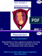 Ks3 Reproduction