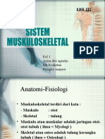 Anatomi Fisiologi Muscoloskeletal