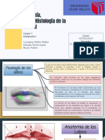 Cavidad Bucal - Grupo 1