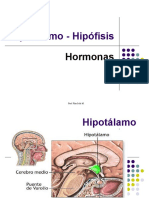 14833646 PP Hipotalamo Hipofisis Hormonas