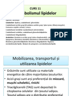 CURS 11 Metabolismul Lipidelor 1