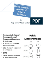 Clinical Anatomy of The Pelvis & Perineum