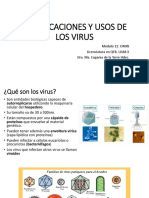 4clasificacion y Uso de Los Virus