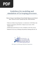 Eera Ca Looping Simulation Guidelines