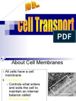 NOV. 3 2020 Cell Transport