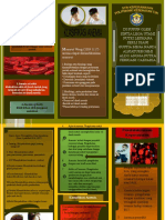 Leaflet Anemia Pada Anak