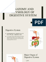 Anatomy and Physiology of Digestive System