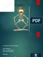 Anatomía de los huesos de la cara: maxilar, mandíbula, vómer, cigomático, palatino, nasal, concha nasal inferior y lagrimal