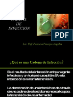 Cadena de Infeccion