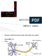 Neurosains II Eksitasi Neuron