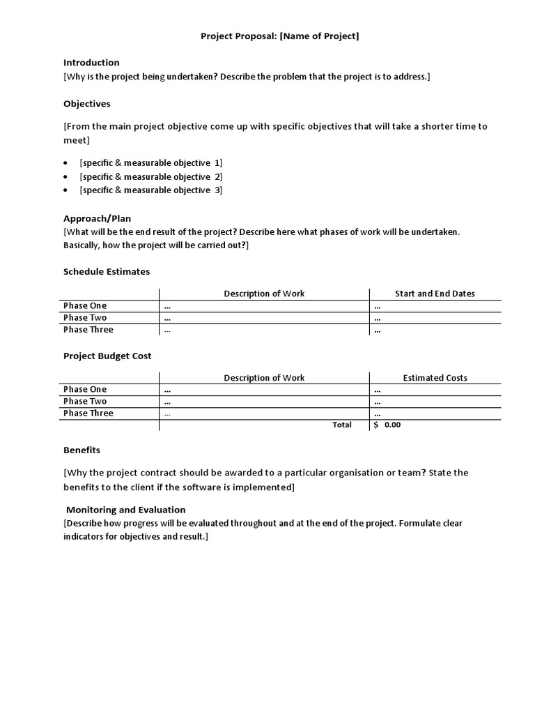 Project Proposal Plan Guide | PDF