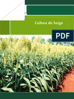 Folder Sorgo Intranet