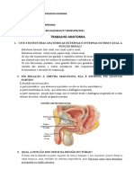 Trabalho Anatomia 1 - Laura C Sinfronio