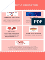 Sistema Excretor