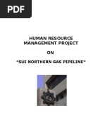 SNGPL Annual Report 2023: 60 Years of Progress | PDF