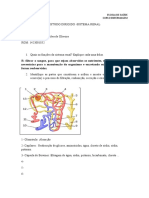 Estudo Dirigido Renal