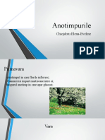 Anotimpurile