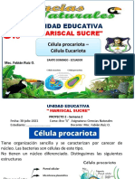 CLASE 2 CIENCIAS NATURALES p2 c2