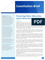Constitution Brief: Protecting Ethnic Minorities Within Minorities