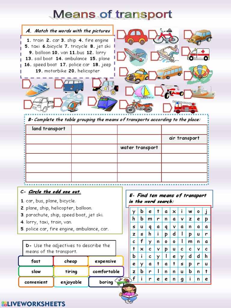 6° Transport Worksheet 2 | PDF