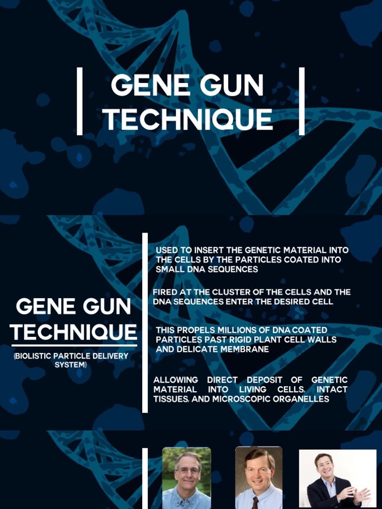 Gene Gun Technique in Plant Biotechnology | PDF | Gene | Genetics