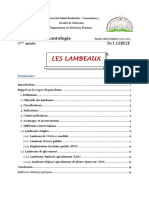5 - 6 - Lambeaux - I - II - DR - LEBEZE (4 Files Merged)