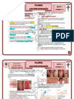 R4-T4 Patologia Del Aparato Genital Femenino