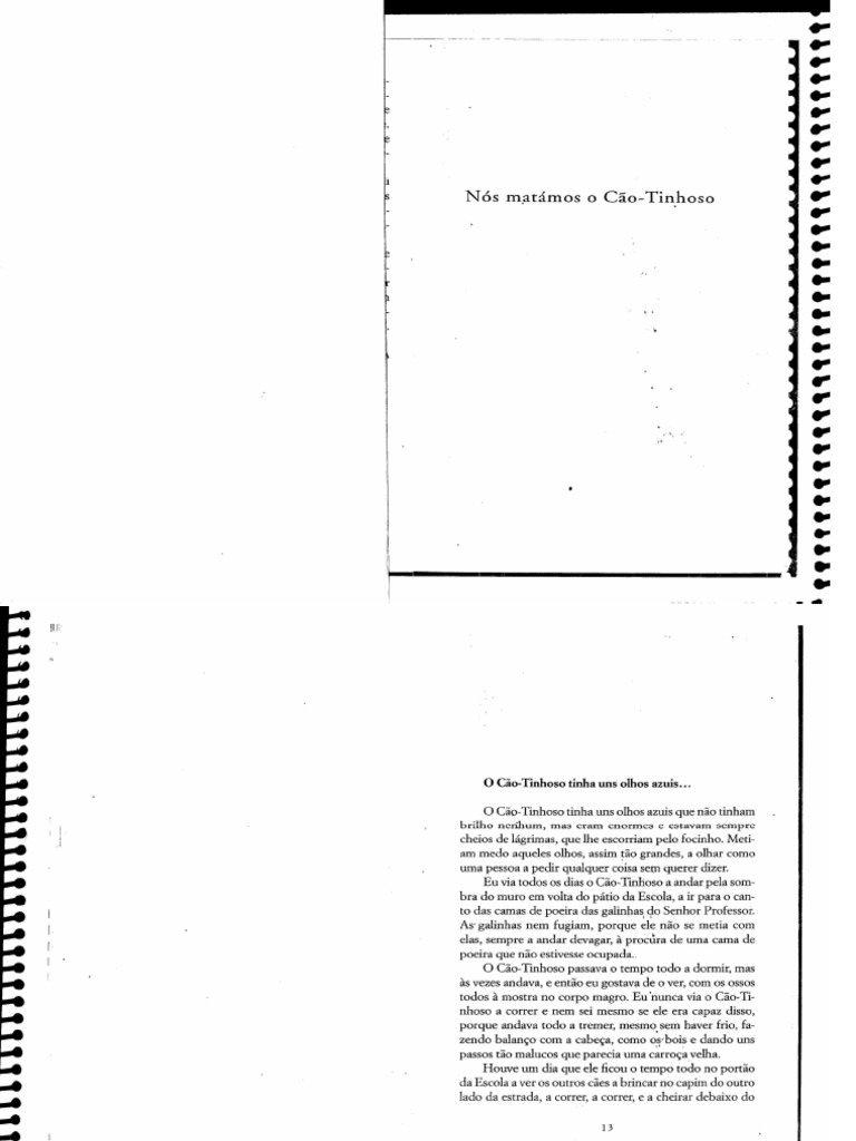 Nós Matamos o Cão Tinhoso | PDF